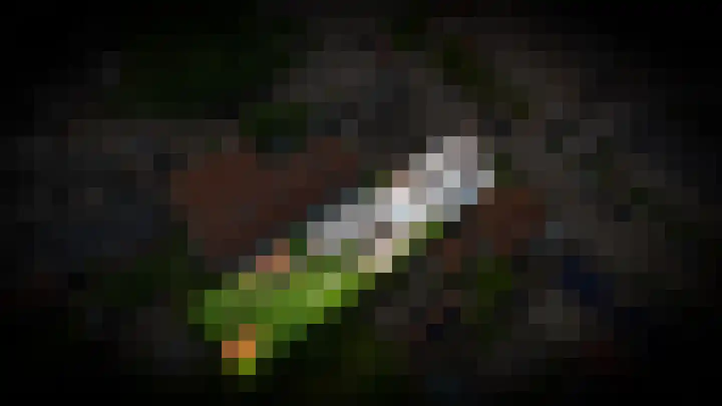 Badweg 7 Geldermalsen thumbnail 44