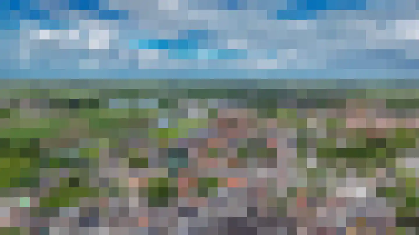 Badweg 7 Geldermalsen thumbnail 47