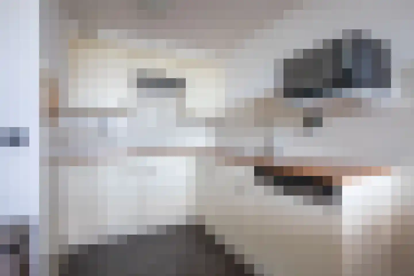 Badweg 78 De Koog thumbnail 8