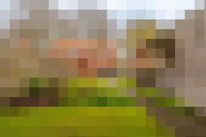 Badweg 8 Vlagtwedde thumbnail 10
