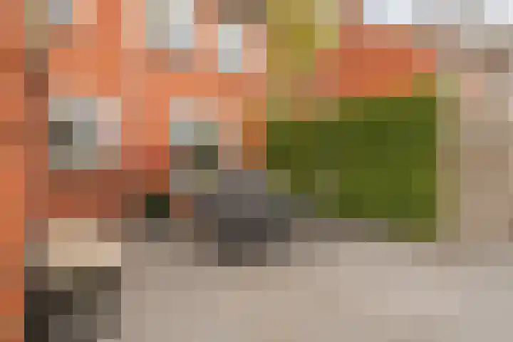 Badweg 8 Vlagtwedde thumbnail 11