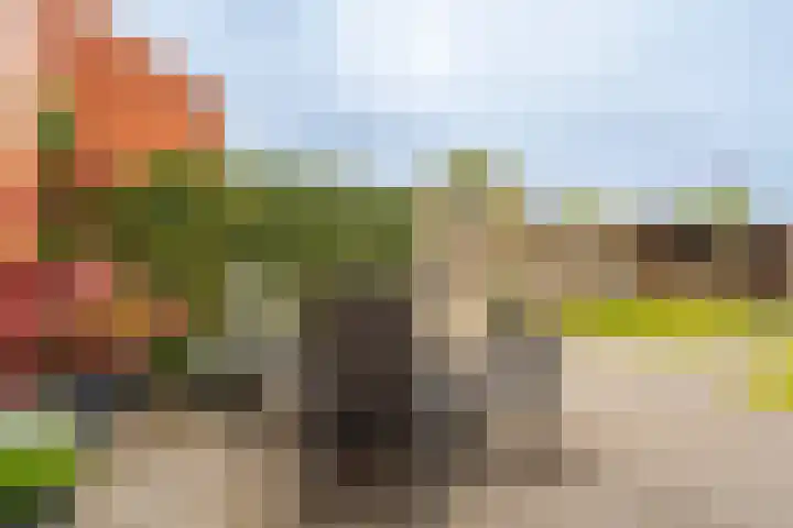 Badweg 8 Vlagtwedde thumbnail 12