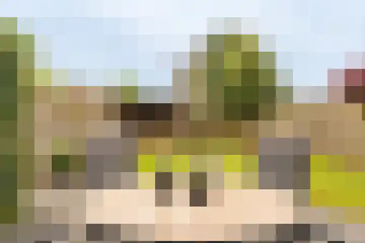 Badweg 8 Vlagtwedde thumbnail 13