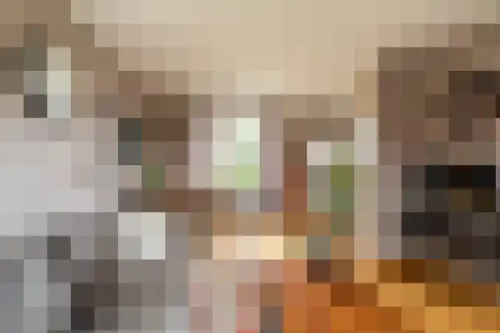 Badweg 8 Vlagtwedde thumbnail 17