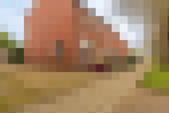 Badweg 8 Vlagtwedde thumbnail 5