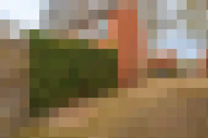 Badweg 8 Vlagtwedde thumbnail 6