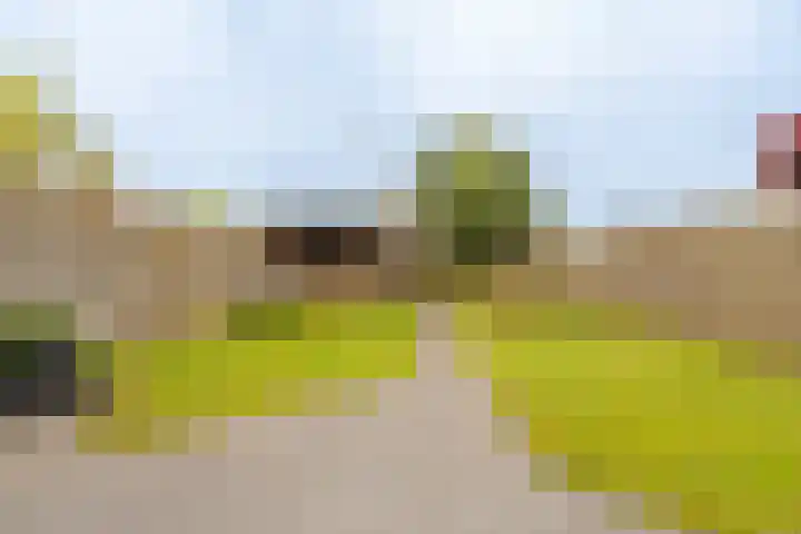 Badweg 8 Vlagtwedde thumbnail 7