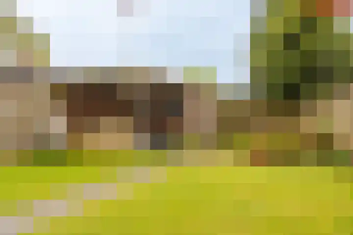 Badweg 8 Vlagtwedde thumbnail 8