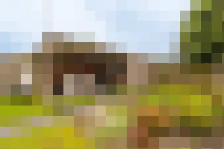 Badweg 8 Vlagtwedde thumbnail 9