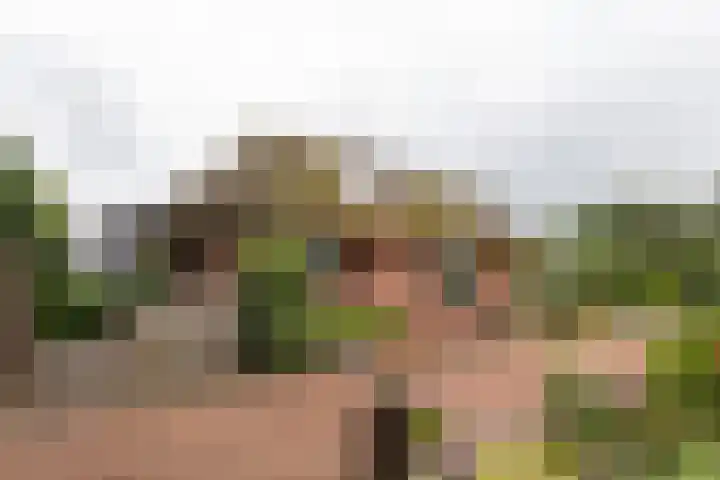 Badweg 82 Meeden thumbnail 29