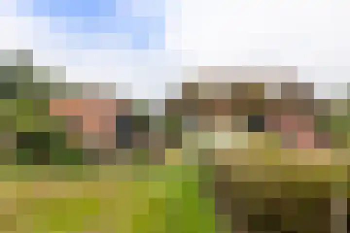 Badweg 82 Meeden thumbnail 30