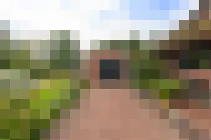 Badweg 82 Meeden thumbnail 31