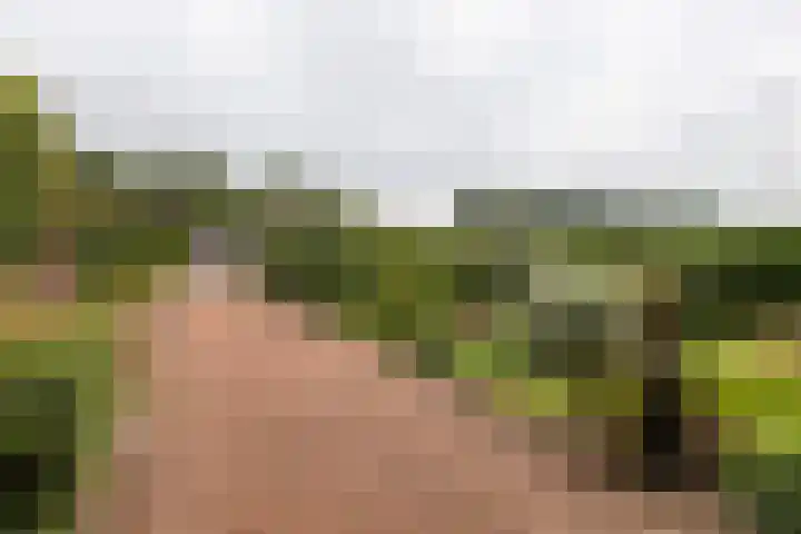 Badweg 82 Meeden thumbnail 32