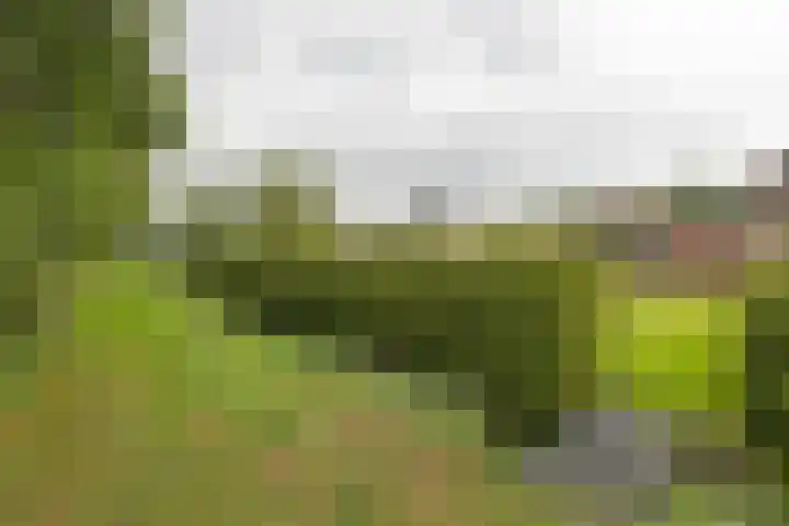 Badweg 82 Meeden thumbnail 33