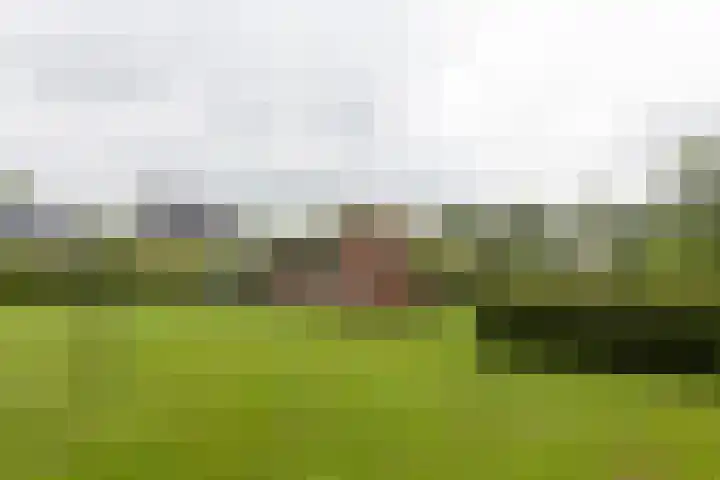Badweg 82 Meeden thumbnail 34