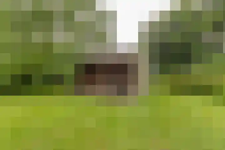 Badweg 82 Meeden thumbnail 35