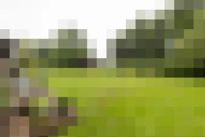 Badweg 82 Meeden thumbnail 37