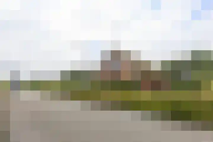 Badweg 82 Meeden thumbnail 39