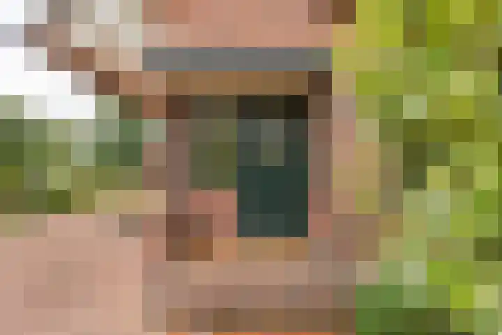 Badweg 82 Meeden thumbnail 4