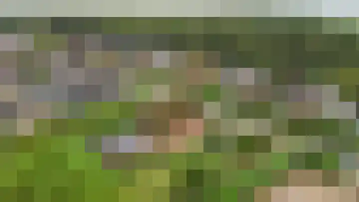Badweg 82 Meeden thumbnail 40