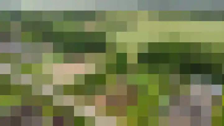 Badweg 82 Meeden thumbnail 41