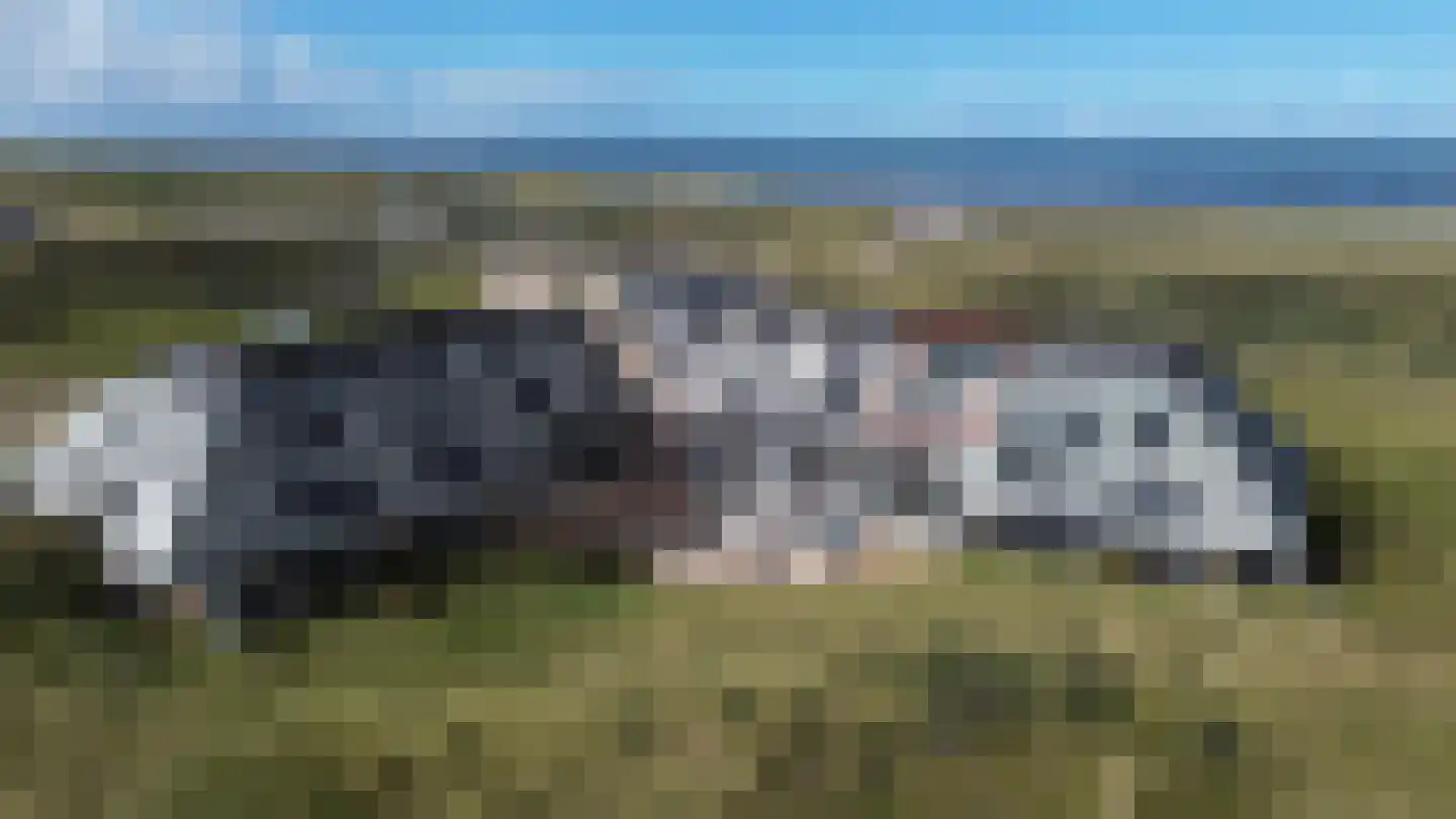 Badweg West 4 49 West-Terschelling thumbnail 42