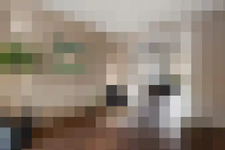 Baeckenhagen 15 Raalte thumbnail 11
