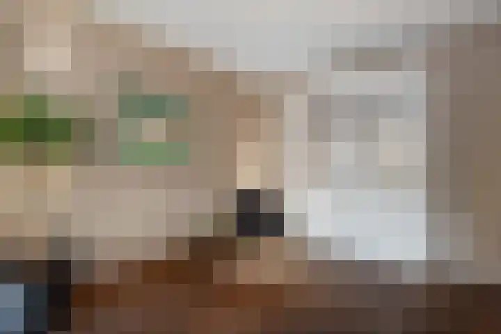 Baeckenhagen 15 Raalte thumbnail 12