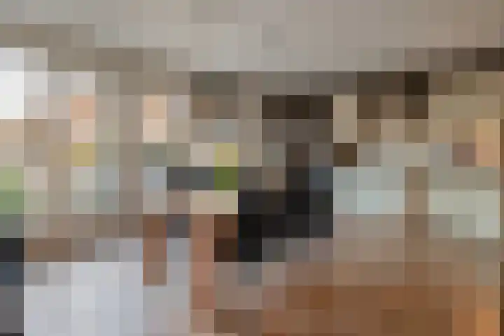 Baeckenhagen 15 Raalte thumbnail 13