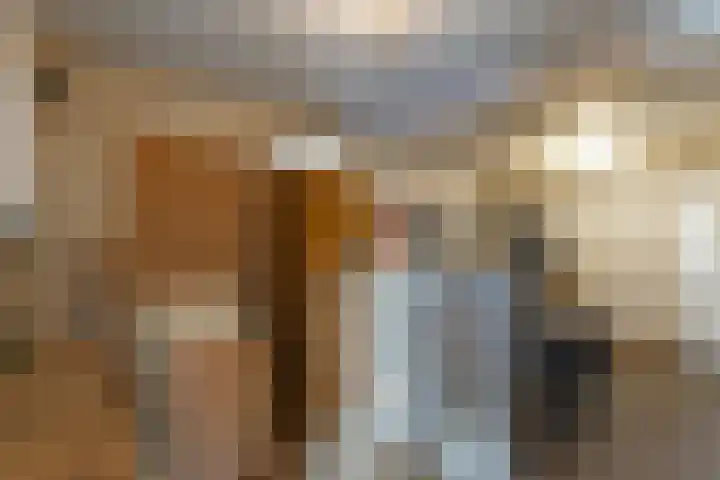Baeckenhagen 15 Raalte thumbnail 22