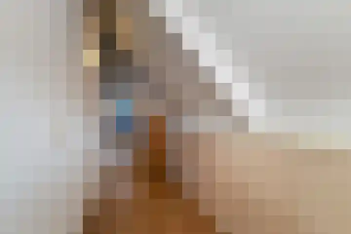 Baeckenhagen 15 Raalte thumbnail 32