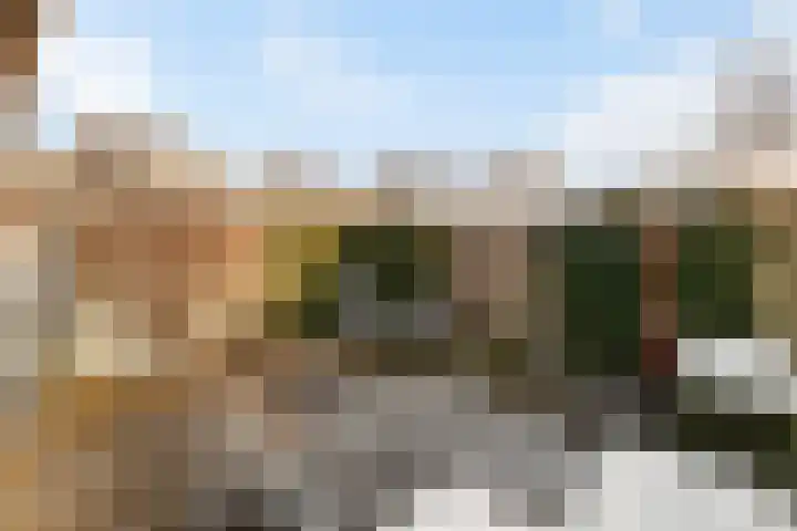 Baeckenhagen 15 Raalte thumbnail 45