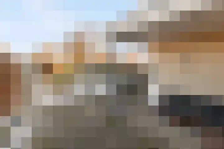 Baeckenhagen 15 Raalte thumbnail 48