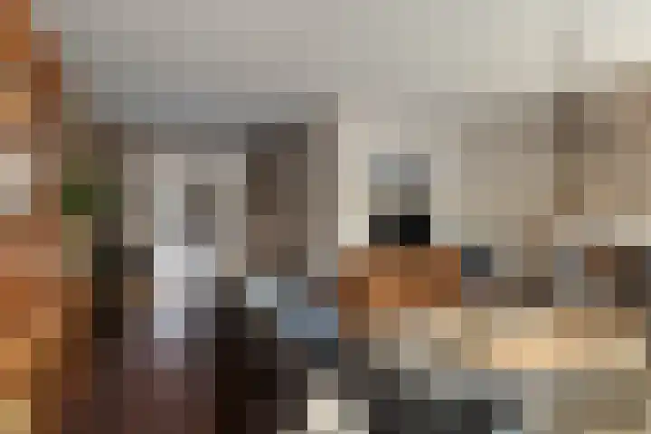 Baeckenhagen 15 Raalte thumbnail 9