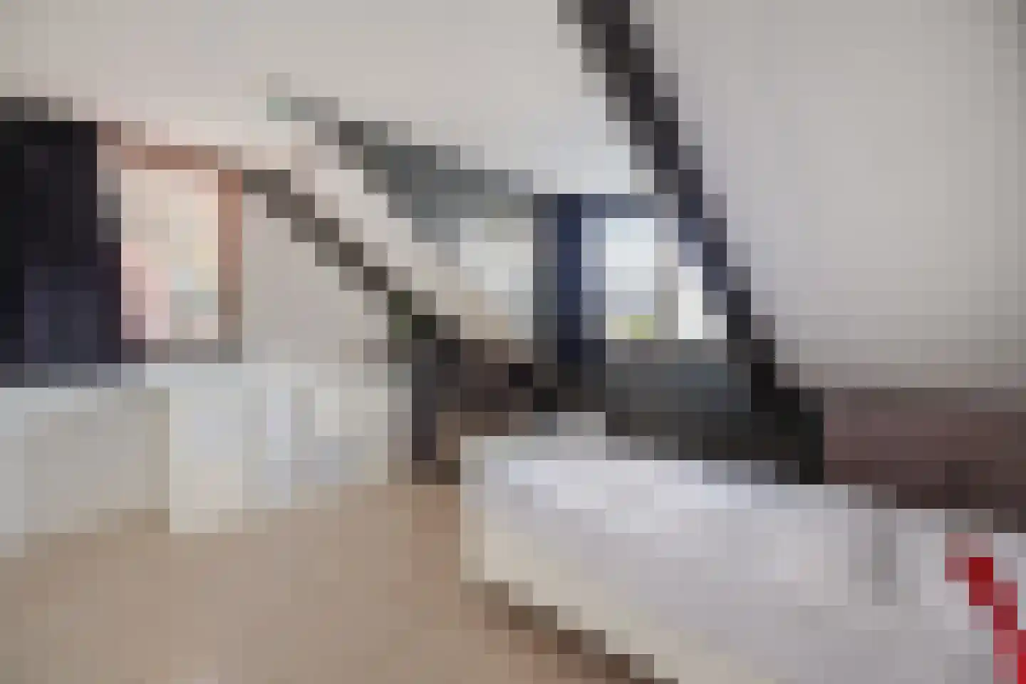 Baeckenhagen 26 Raalte thumbnail 31