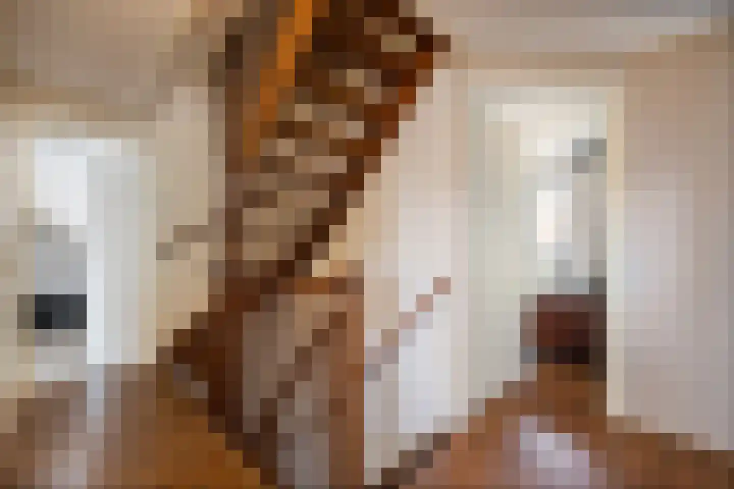Baeckenhagen 26 Raalte thumbnail 34