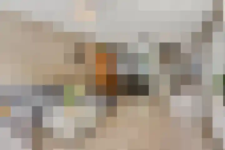 Baelschot 12 Eindhoven thumbnail 11