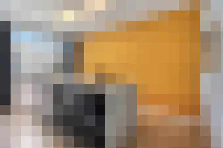 Baelschot 12 Eindhoven thumbnail 14