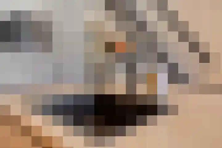 Baelschot 12 Eindhoven thumbnail 16