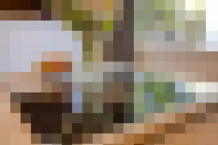 Baelschot 12 Eindhoven thumbnail 17