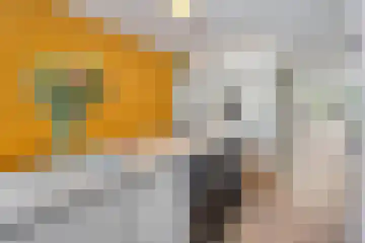 Baelschot 12 Eindhoven thumbnail 18