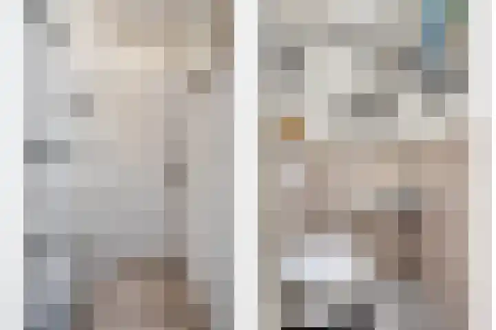 Baelschot 12 Eindhoven thumbnail 19
