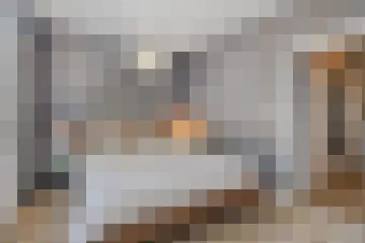 Baelschot 12 Eindhoven thumbnail 22