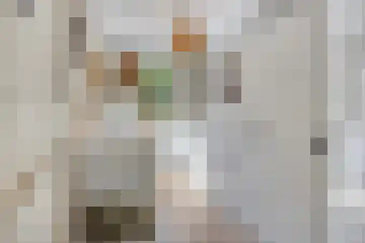 Baelschot 12 Eindhoven thumbnail 27