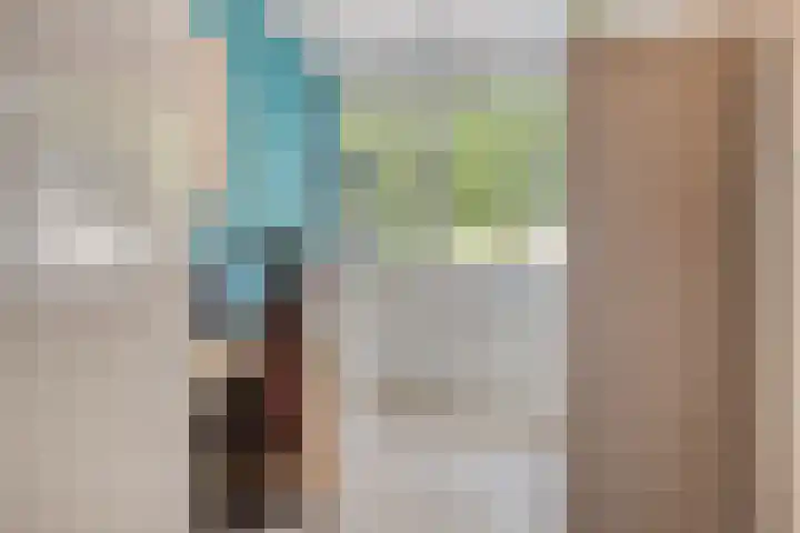 Baelschot 12 Eindhoven thumbnail 28