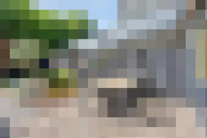 Baelschot 12 Eindhoven thumbnail 29
