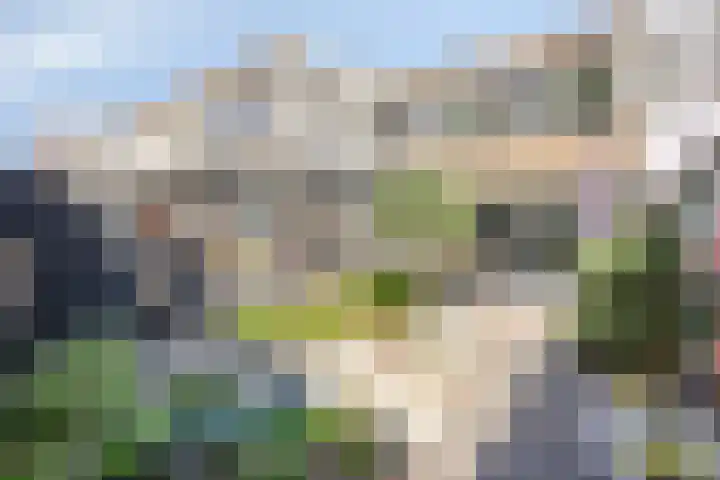 Baelschot 12 Eindhoven thumbnail 31