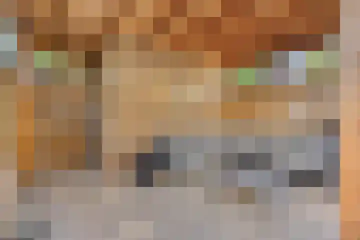 Baelschot 12 Eindhoven thumbnail 33