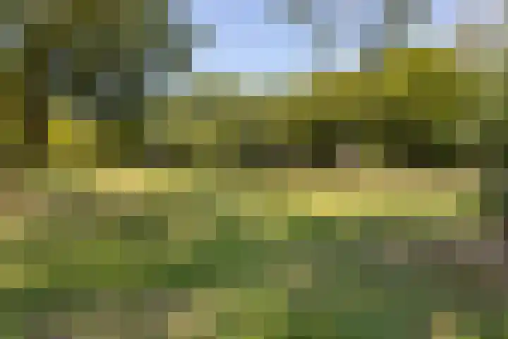 Baelschot 12 Eindhoven thumbnail 34