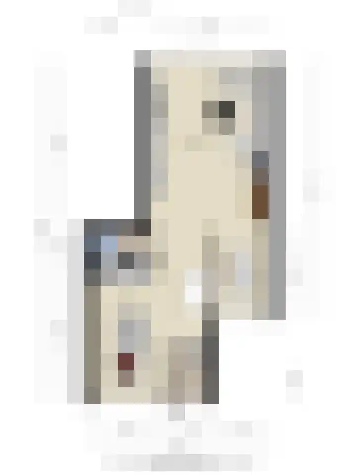 Baelschot 12 Eindhoven thumbnail 35